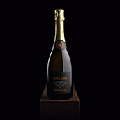 Adelaida Brut